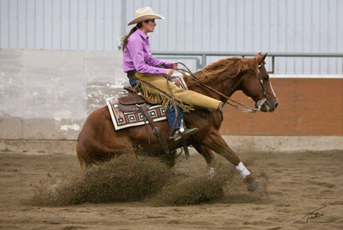 Mojo at Cowtown Derby 2012